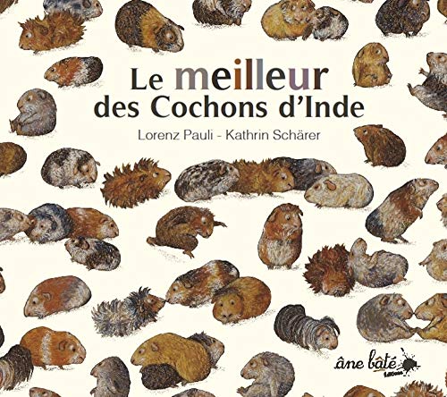 LE MEILLEUR DES COCHONS D'INDE